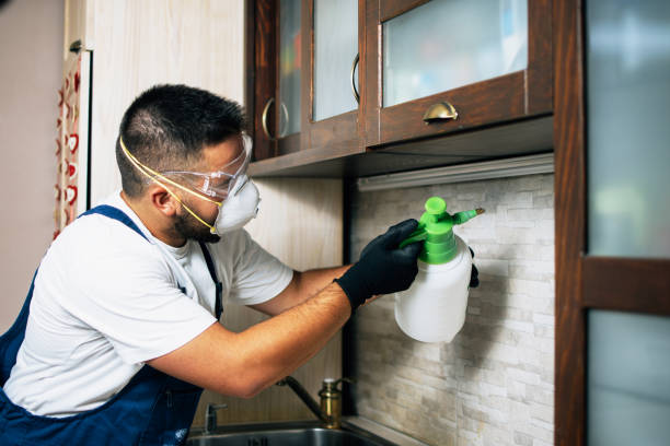 Trusted Balfour, NC Pest Control Experts
