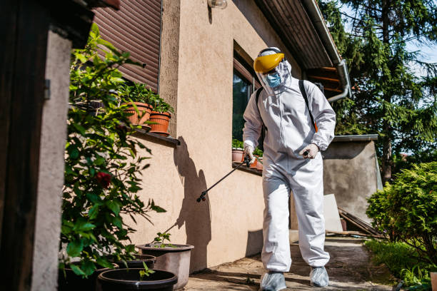 Best Exterminator Services  in Balfour, NC