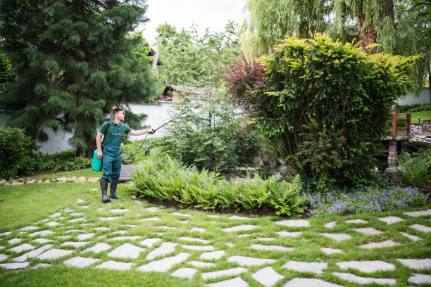 Best Best Pest Control Companies  in Balfour, NC