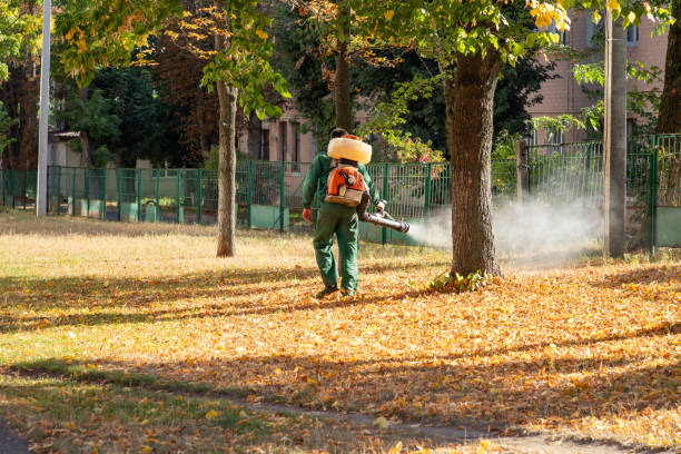 Best Wildlife Control Services  in Balfour, NC