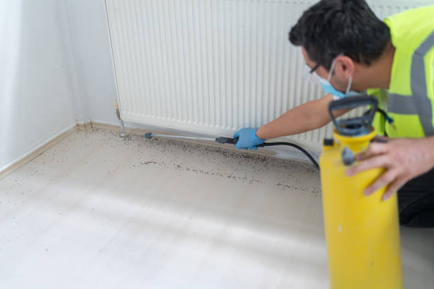 Best Best Pest Control Companies  in Balfour, NC